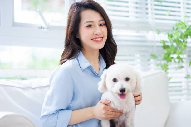 Dog-img