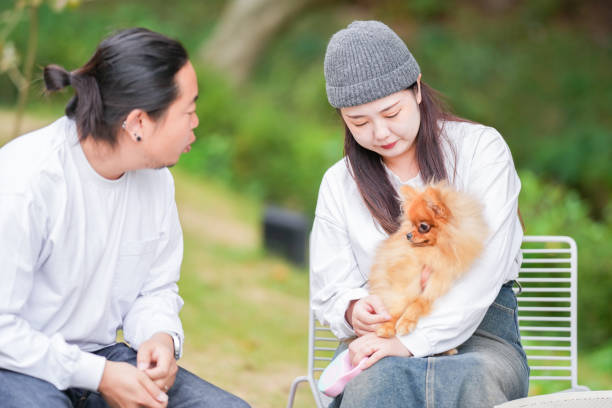 Dog-img